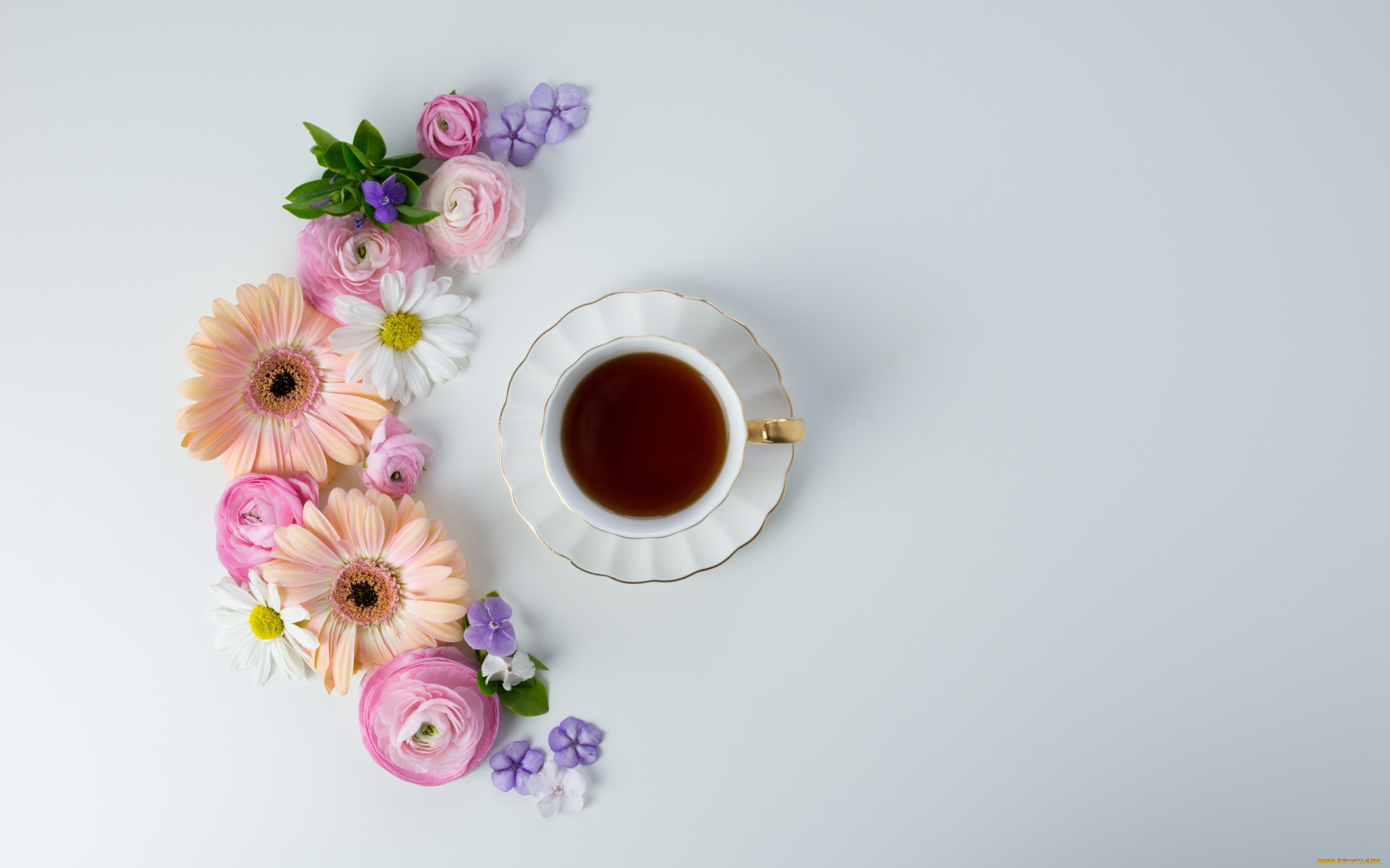 , ,   , pink, coffee, tender, , cup, flowers, 